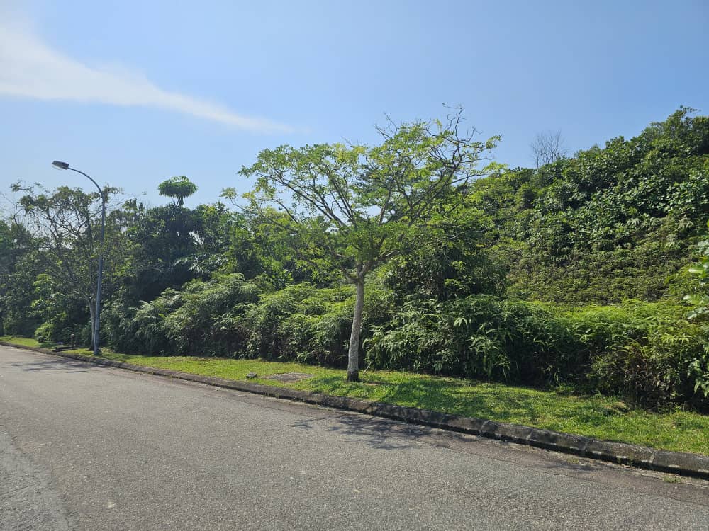 105626ca-04da-4ab4-b4e8-b609a7223a4a