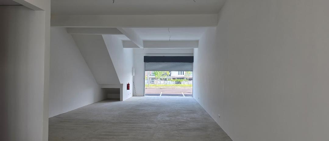 d61aa1af-d0b6-4f88-9caf-fc1c27ec9fa1